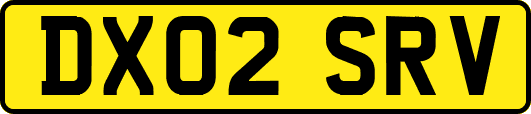 DX02SRV