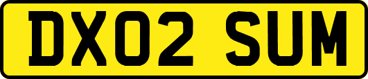 DX02SUM