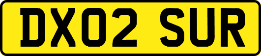 DX02SUR