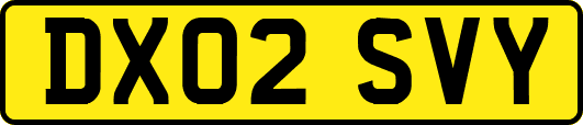 DX02SVY