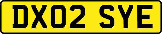 DX02SYE