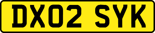DX02SYK