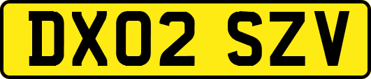 DX02SZV