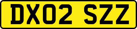 DX02SZZ