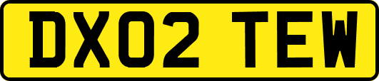 DX02TEW