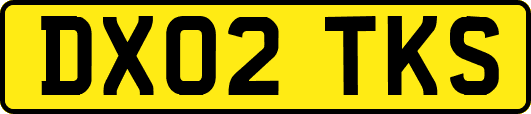 DX02TKS