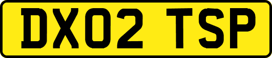 DX02TSP
