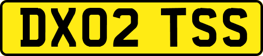DX02TSS