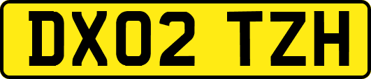 DX02TZH