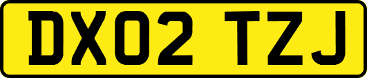 DX02TZJ