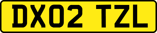 DX02TZL