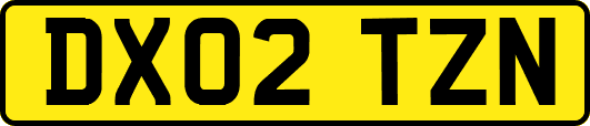 DX02TZN
