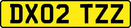 DX02TZZ