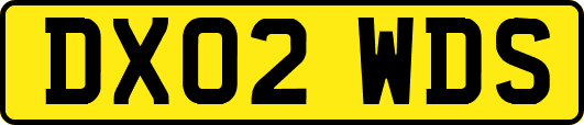 DX02WDS