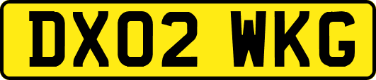 DX02WKG