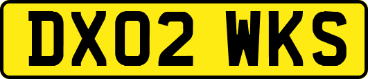DX02WKS