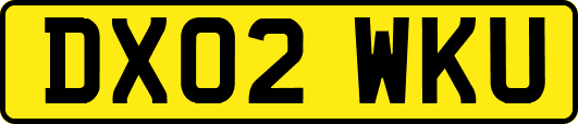 DX02WKU