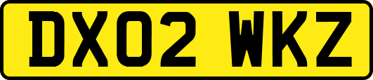 DX02WKZ