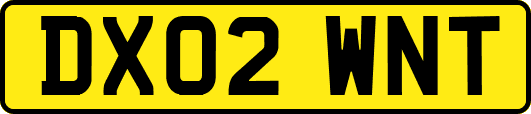 DX02WNT