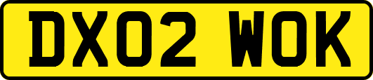 DX02WOK