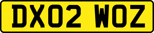 DX02WOZ