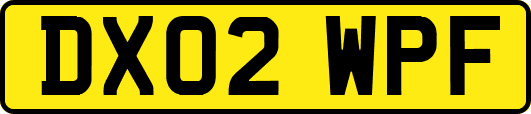 DX02WPF