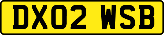 DX02WSB