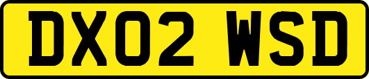DX02WSD