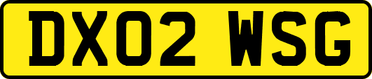 DX02WSG