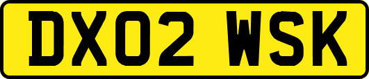 DX02WSK