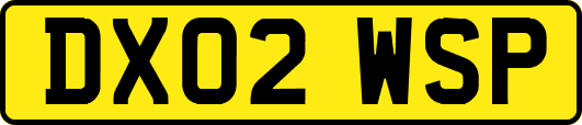 DX02WSP