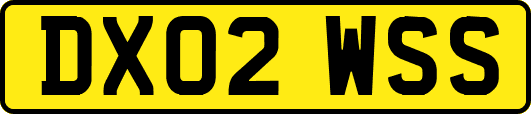 DX02WSS