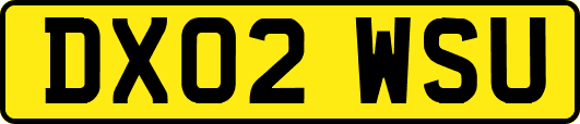 DX02WSU