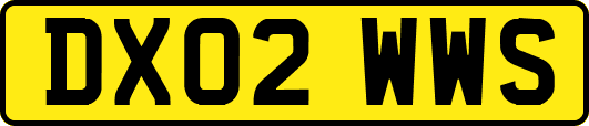 DX02WWS