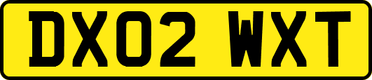 DX02WXT