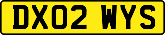 DX02WYS