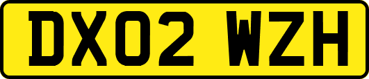 DX02WZH