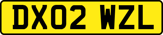 DX02WZL