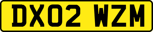 DX02WZM