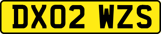 DX02WZS