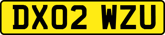 DX02WZU
