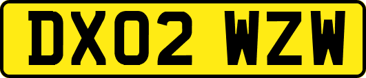 DX02WZW