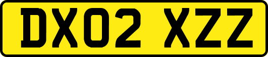 DX02XZZ
