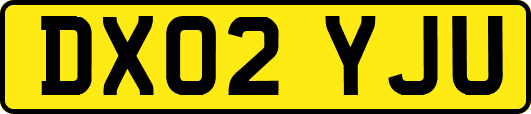 DX02YJU