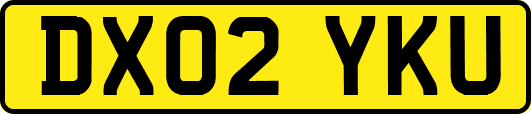 DX02YKU