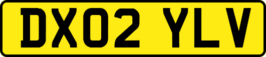 DX02YLV