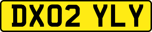 DX02YLY
