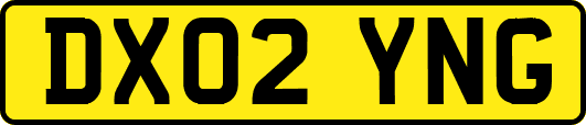DX02YNG