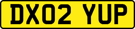 DX02YUP