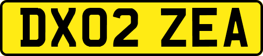 DX02ZEA